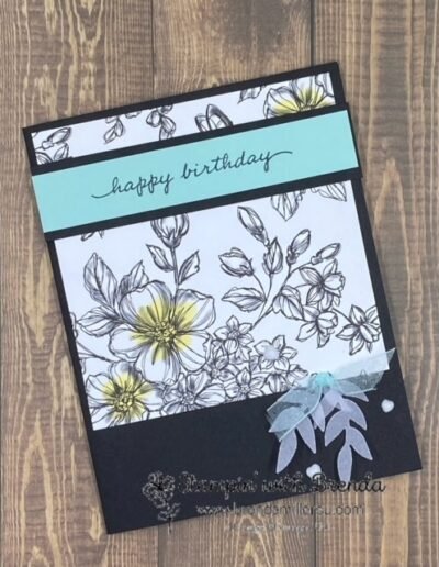 perfectly penciled dsp from stampin' up! on black with pool party accents and a bit of vellum