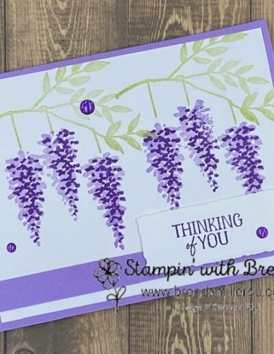 Highland Heather card with Basic White layer stamped with Wisteria Wishes green branches and Highland Heather/Gorgeous Grape wisteria flowers and a Thinking of You sentiment