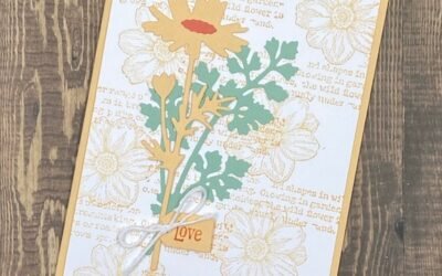 Use Pale Papaya for a Stunning Background and Focal Point for this Attractive Card