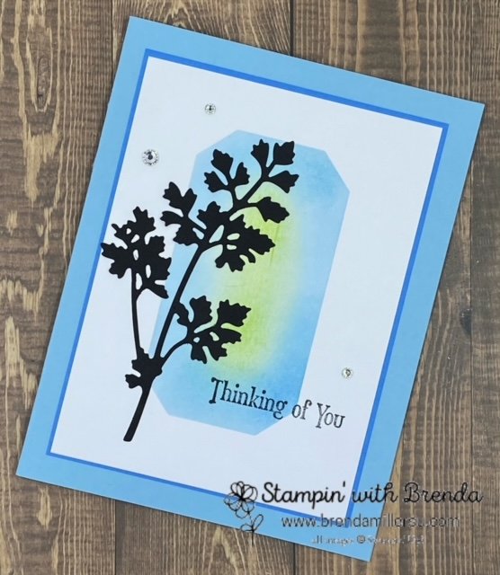 stampin up blue and white card with blending brush background and black silhouette of stem of leaves