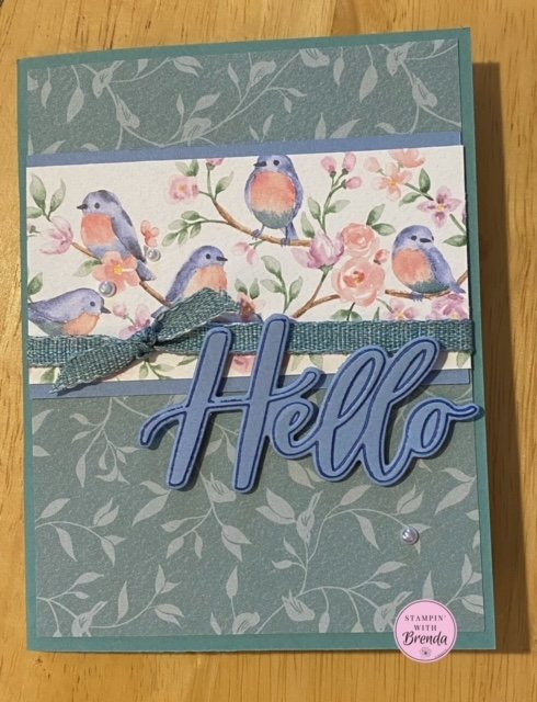 Sale-a-bration Flight and Airy DSP card with Thoughtful moments embossing folder