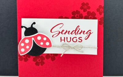Seeing Red with Adorable Ladybug Card