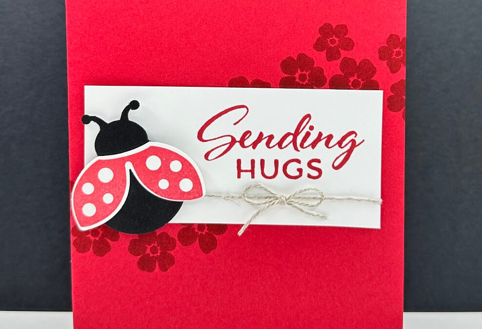 Seeing Red with Adorable Ladybug Card