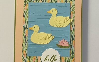 Adorable Lily Pond Lane with Template #17