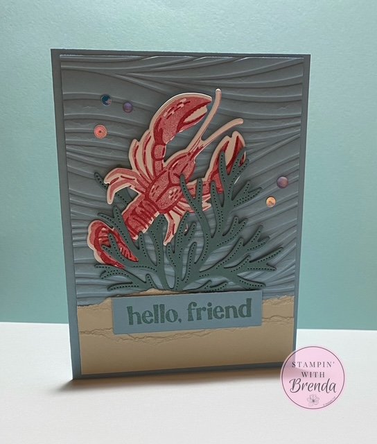 Ocean Friends for a Friendly Hello