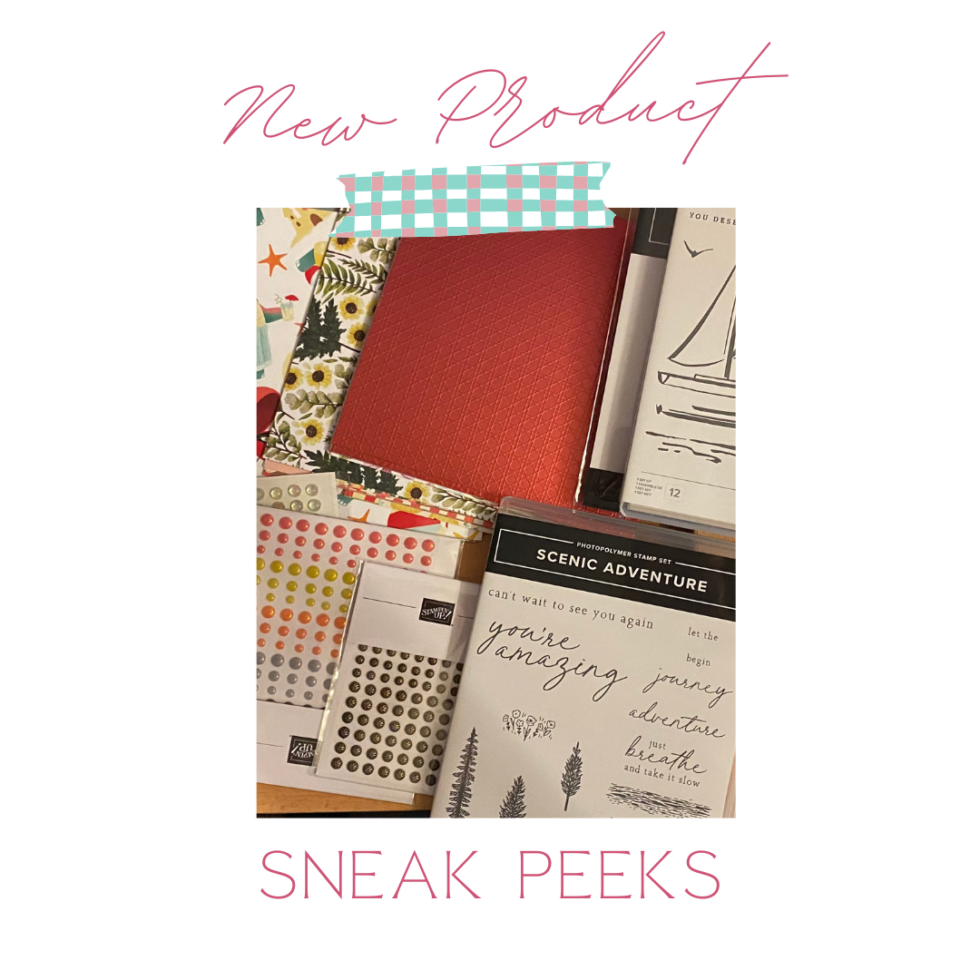 Some Sneak Peeks And A Fun Fold For Stampers Dozen Blog Hop