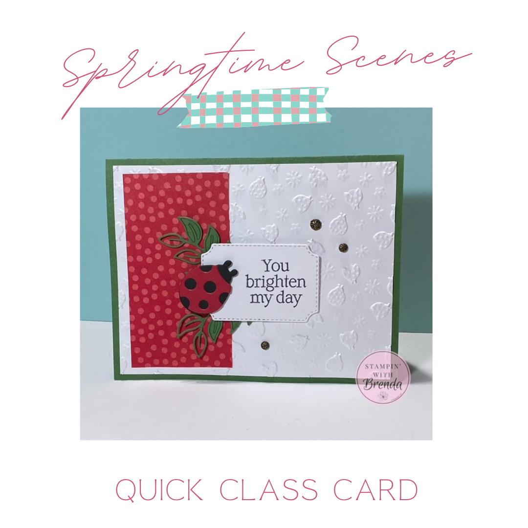 Stampin' Up! Springtime Scenes with ladybug background and element